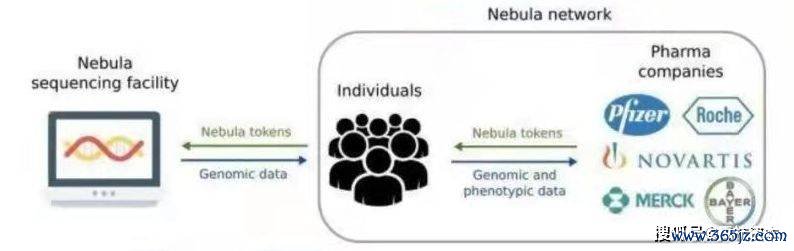 数字资产在医疗行业的潜力：如何通过虚拟货币实现高效的支付与服务_数字资产在医疗行业的潜力：如何通过虚拟货币实现高效的支付与服务_数字资产在医疗行业的潜力：如何通过虚拟货币实现高效的支付与服务
